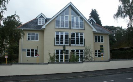 Chris Jones Painting