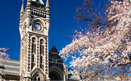 Dunedin City Council