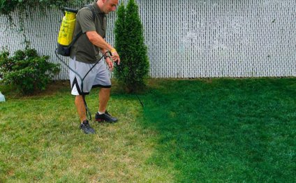 The paint job costs $150 per