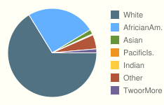 Breakdown of race in Burlington