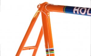 Bike frame Painting service