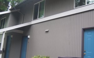 Exterior Interior Painting Services
