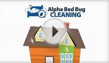 Amazing Bed Bug Cleaning Service NYC!