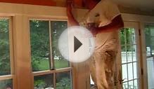 Cape Cod Interior Painting | Interior Painters Cape Cod