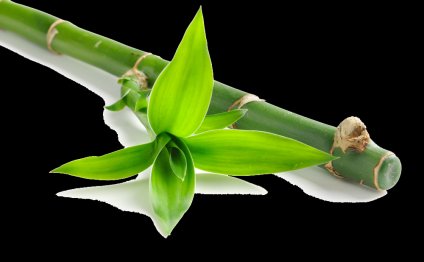 VoIP service Providers residential